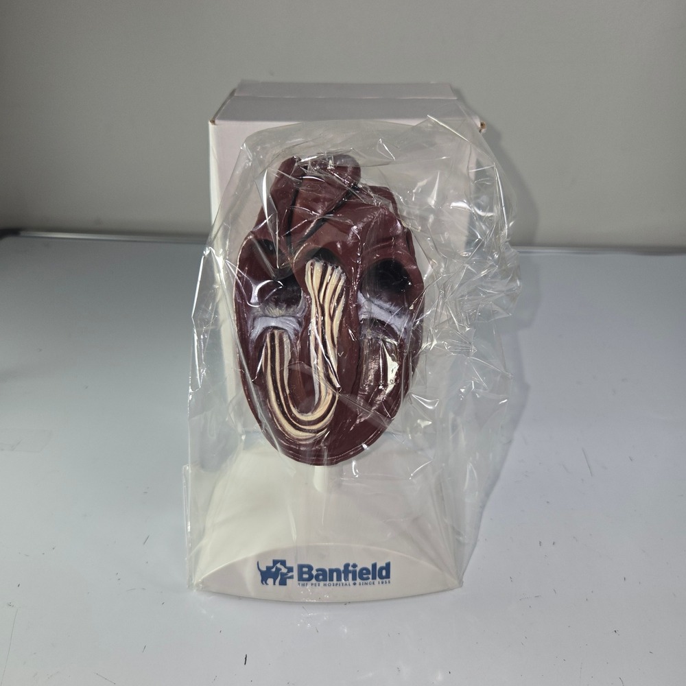Banfield Heart Model Anatomical Model with Labels Veterinary Dog‎ Cat